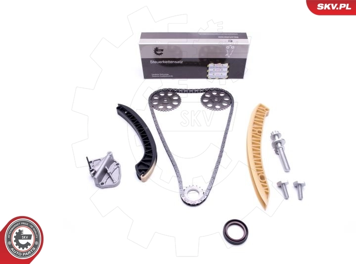Timing Chain Kit